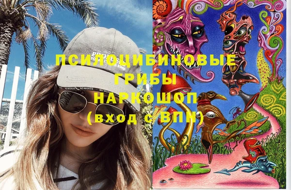 кокс Вяземский